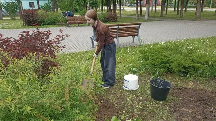 трудотряд3