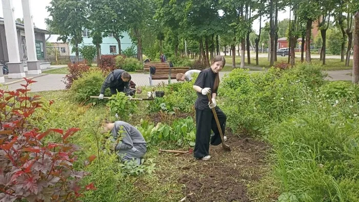 трудотряд1