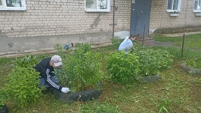 клумбы3