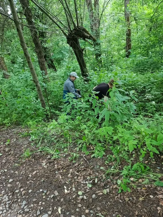 отряд3