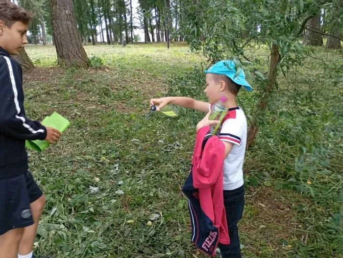 квест3